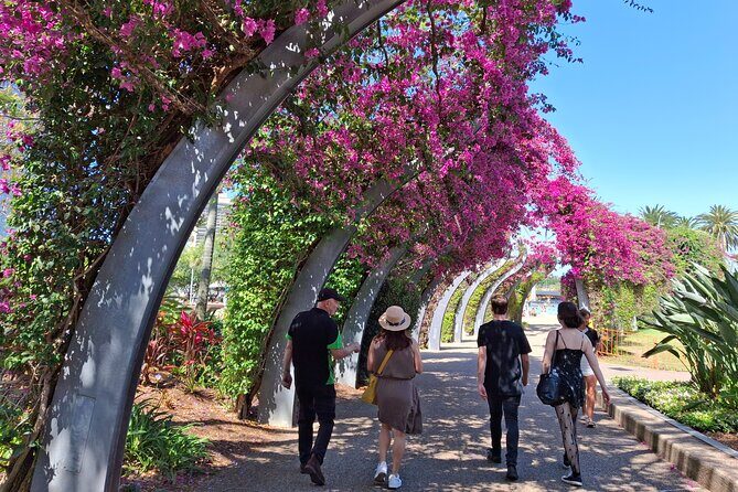 6 Hours Brisbane Private Tour – Popular Sights in One Day - Lone Pine Koala Sanctuary: koalas, kangaroos, and the one cost to plan for