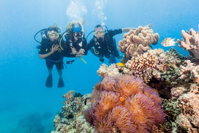 7 Day Brisbane to Cairns Boutique Whitsundays Great Barrier Reef - Key Highlights You Should Know