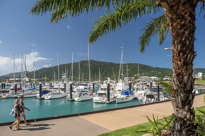 7 Day Brisbane to Cairns Boutique Whitsundays Great Barrier Reef - Day 6 and 7: Cairns wrap-up and what you get time for
