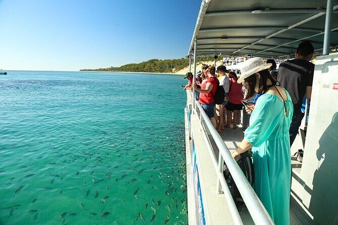 Adventure Moreton Island Wrecks Adventure Package - Key Highlights You’ll Feel on Moreton Island