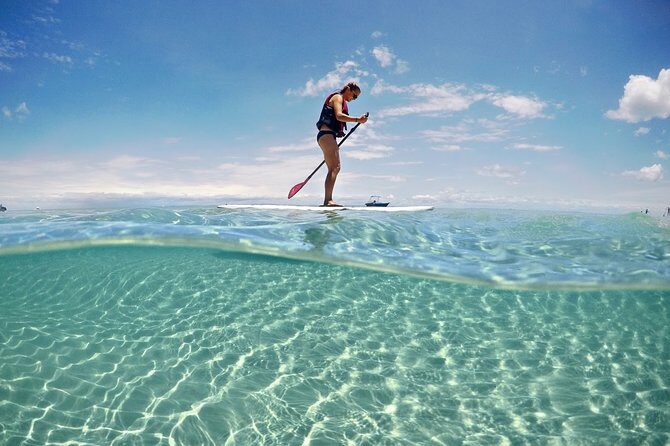 Adventure Moreton Island Wrecks Adventure Package - The Main Event: Wrecks Sightseeing and the Fish-Feeding Option