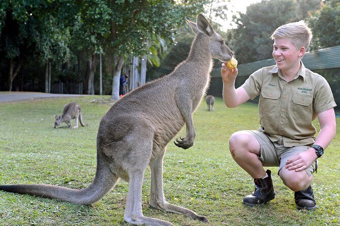 Australia Zoo Day Trip from Brisbane - Australia Zoo Day Trip From Brisbane: What You’re Actually Paying For