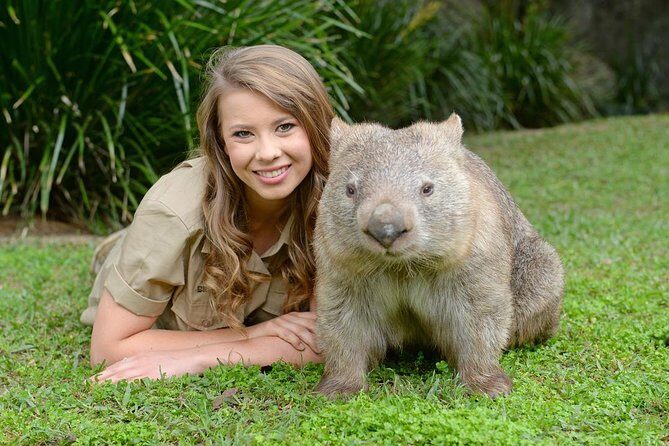 Australia Zoo Day Trip from Brisbane - Admission Included: How You Use Your Zoo Hours Better