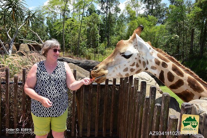 Australia Zoo Day Trip from Brisbane - Return Ride Comfort: Plan for the Back Row Risk