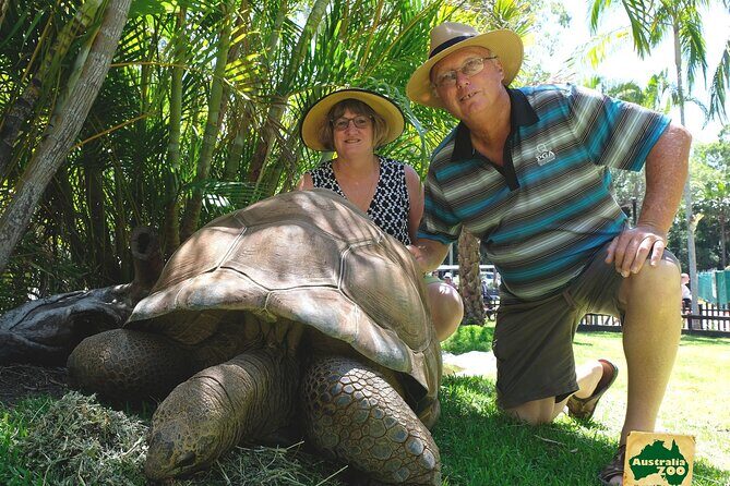 Australia Zoo Day Trip from Brisbane - Who This Day Trip Suits Best