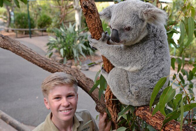 Australia Zoo Day Trip from Brisbane - Price and Logistics: Is $128.39 a Good Deal?