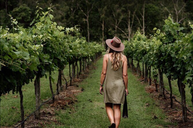 Barefoot Luxury Mount Tamborine Winery Tour from Brisbane - Key highlights you’ll feel right away