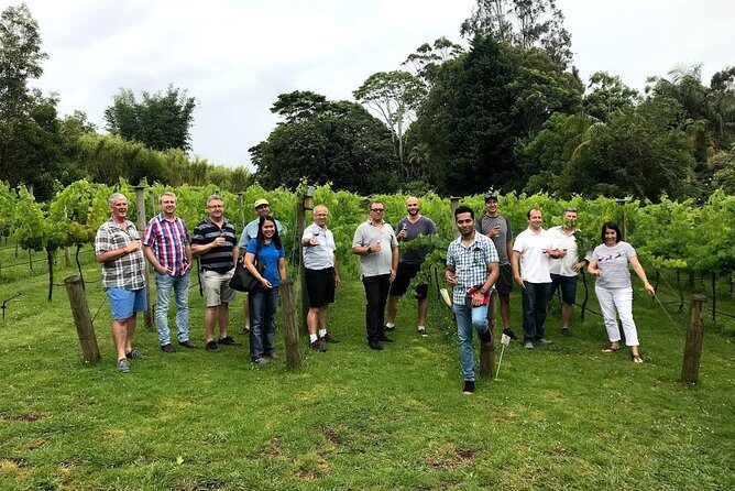 Barefoot Luxury Mount Tamborine Winery Tour from Brisbane - Getting from Brisbane to Mount Tamborine without the hassle