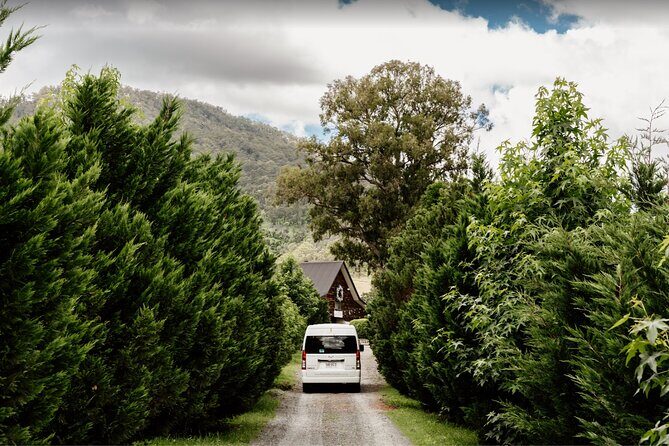 Barefoot Luxury Mount Tamborine Winery Tour from Brisbane - The national park pause: why this stop is more than a photo break