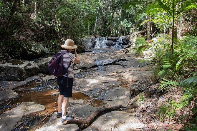 Bellthorpe Rainforest Private Tour - After lunch at Mary Cairncross: visitor info plus a short walk