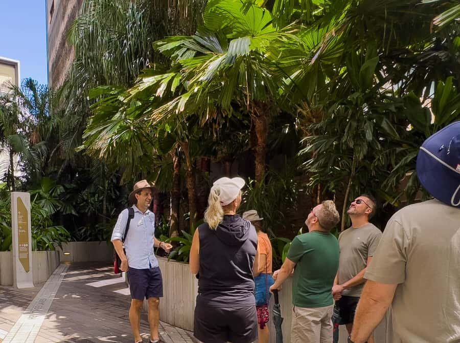 Best of Brisbane Walking Tour | Small Group & snack - Entering The City on Queen Street, With a Guide Who Keeps It Moving