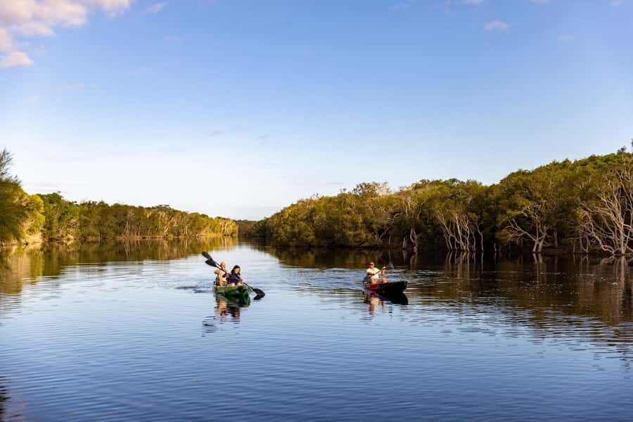 Bribie Island: 4WD, Kayak, and WWII Bunker Tour - First impressions: Bribie’s mix of sand, birds, and bunker air