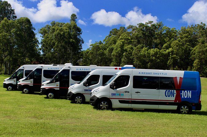 Brisbane Airport: Shared Transfer to Brisbane - Timing: Daily Service, But Not Every Scenario Is Equal