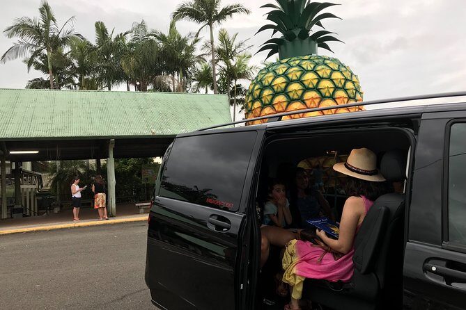 Brisbane Airport to Noosa Private Transfer for 1-5 people - Booking Price and Value: What You Pay vs What You Avoid