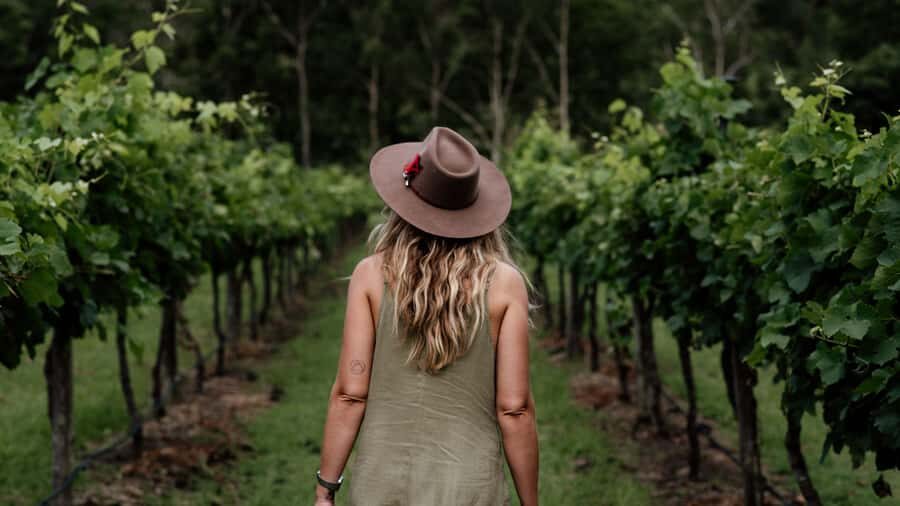 Brisbane: Boutique Winery Tour with Gourmet Lunch - The ride into the hinterland: where the day starts to feel different
