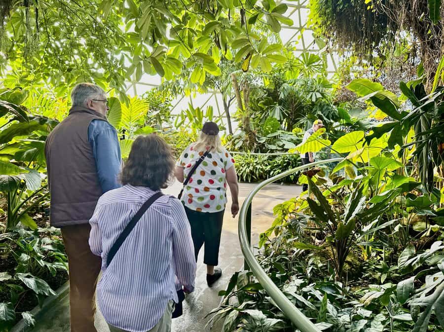 Brisbane Bus Tour: City highlights | Small group | Snack - South Bank Parklands: Landmarks From the River’s Front Row