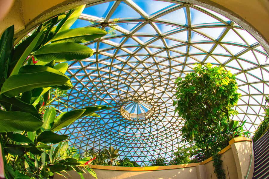 Brisbane Bus Tour: City highlights | Small group | Snack - Price and Value: What $84 Covers (and Why It Can Be Worth It)