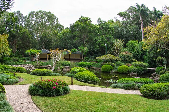 Brisbane Bus Tour: Max 10 people | Half Day | Morning tea inc. - Stop 2: Brisbane Botanic Gardens Mt. Coot-tha (45 Minutes)