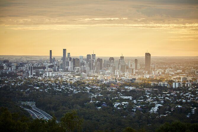 Brisbane Bus Tour: Max 10 people | Half Day | Morning tea inc. - The 9:00am Start and How Pickup Affects Your Day