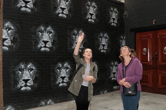 Brisbane City Art and Design Walking Tour - Hidden street art: how public art works in real life