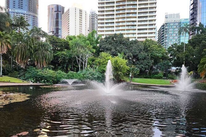 Brisbane Drive by Day - Private Tour - Captain Burke Park and the under-bridge experience