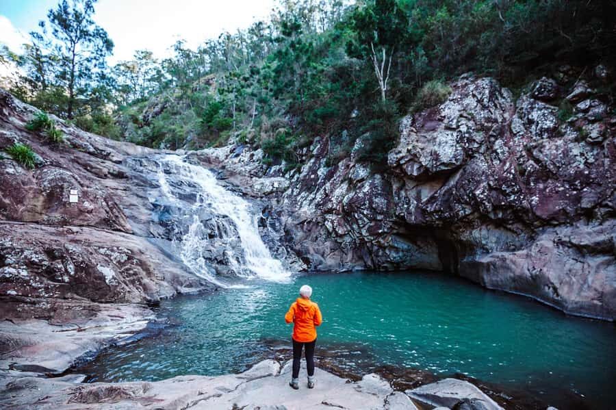 Brisbane: Hop on Hop off Bus to Tamborine Mountain - Should you book Brisbane to Tamborine Mountain hop on hop off?