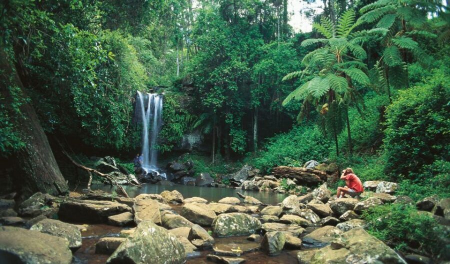 Brisbane: Hop on Hop off Bus to Tamborine Mountain - Value and price: is $70 per person a smart spend?