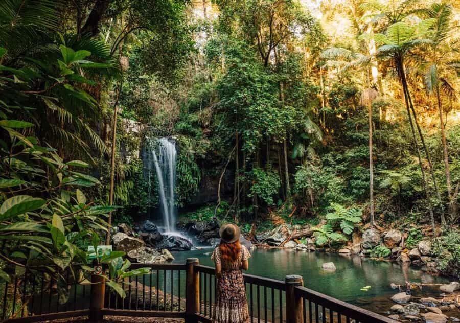 Brisbane: Hop on Hop off Bus to Tamborine Mountain - The Green Line: nature stops that reward slow walking