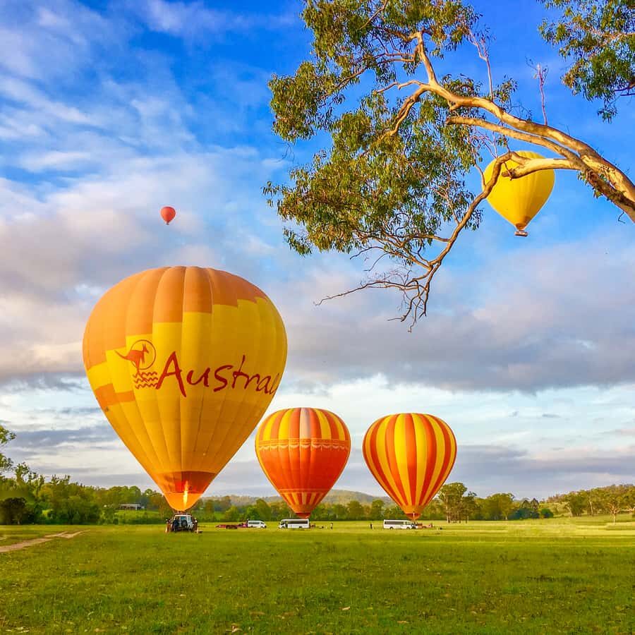 Brisbane: Hot Air Balloon Flight with Vineyard Breakfast - The vineyard breakfast at OReillys Canungra Valley Vineyards