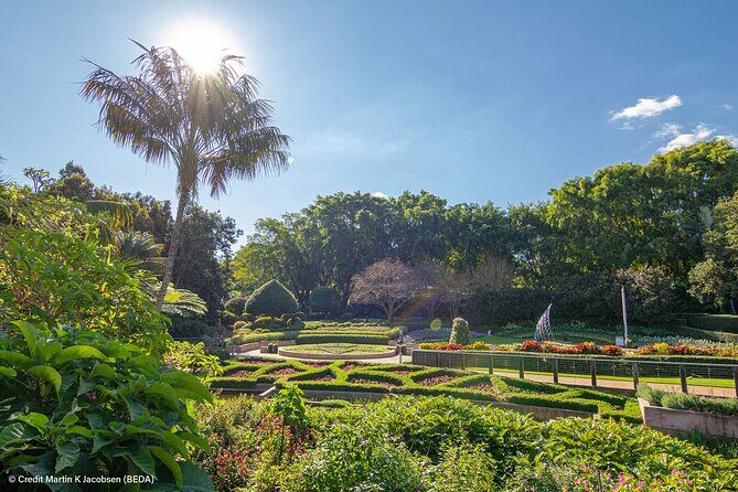 Brisbane Insights Tour - New Farm and the Turrbal name: neighborhood stops with context