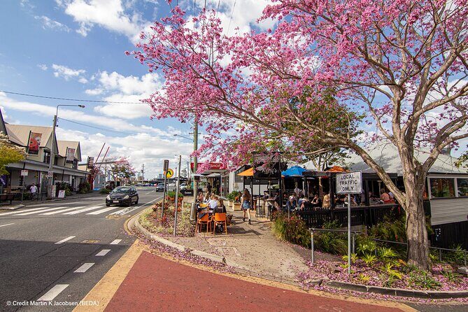 Brisbane Insights Tour - A short cafe pause in Bardon (and what to budget)