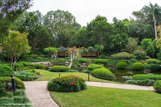 Brisbane Insights Tour - Queensland’s oldest gardens: a calmer, greener pause