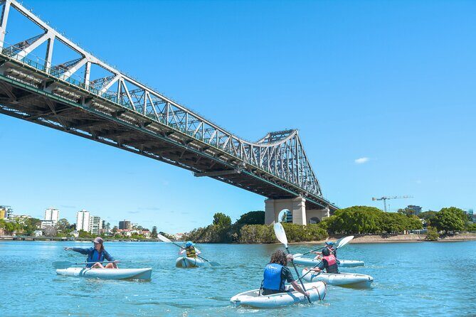 Brisbane Kayak, Bike - Your inner-city route: South Bank, Goodwill Bridge, Botanic Gardens, New Farm Park