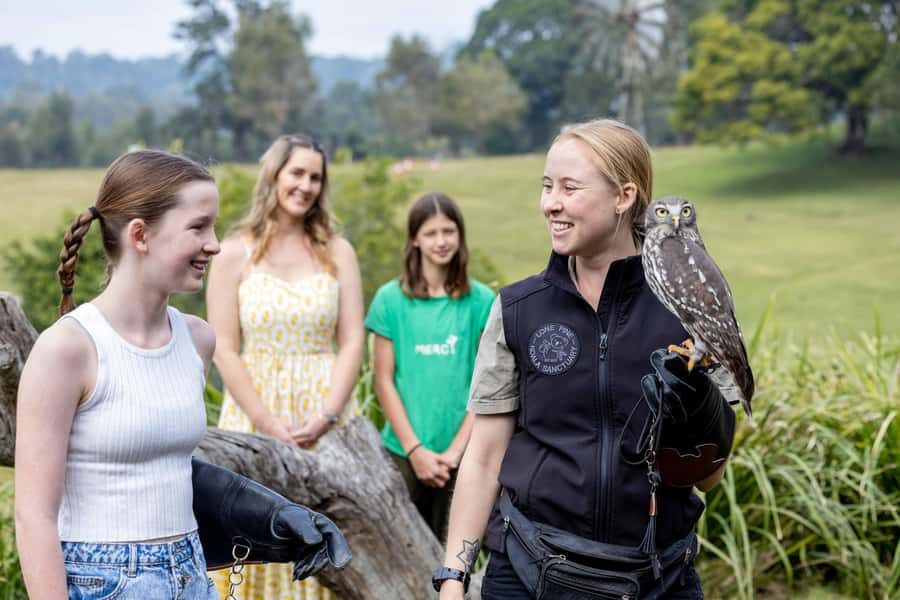 Brisbane: Lone Pine Koala Sanctuary Day Pass - What to wear and bring (so the day stays pleasant)