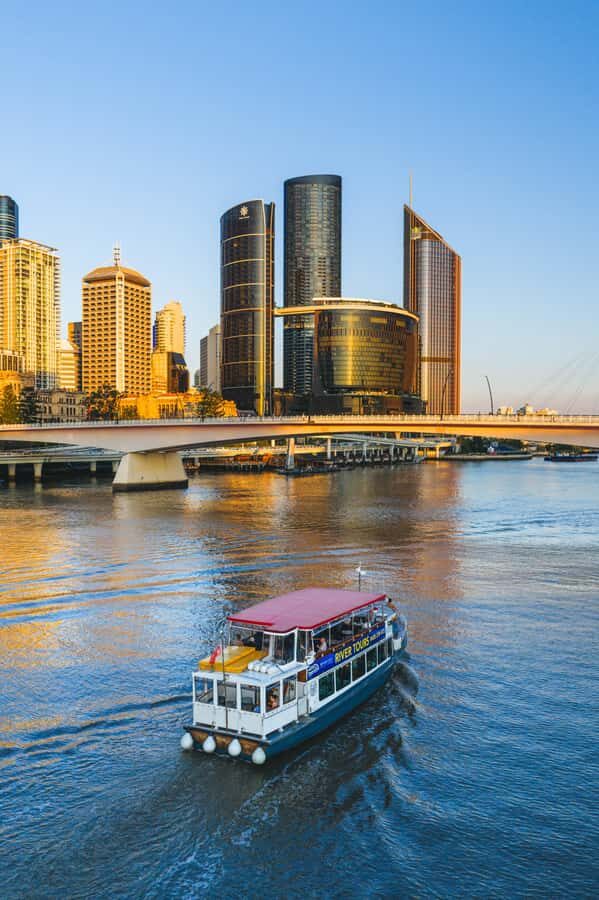 Brisbane: Morning Sightseeing Cruise: 10:30am-12pm (90min) - The morning tea perk that makes the cruise feel like a treat