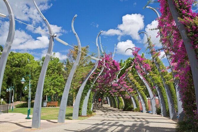 Brisbane Must-See Attractions Walking Tour with a guide - Quick Highlights: What Makes This Brisbane Walk Worth Your Time