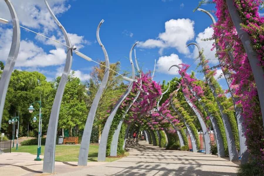 Brisbane: Private custom tour with a local guide - Pickup, timing, and how your guide shapes the day