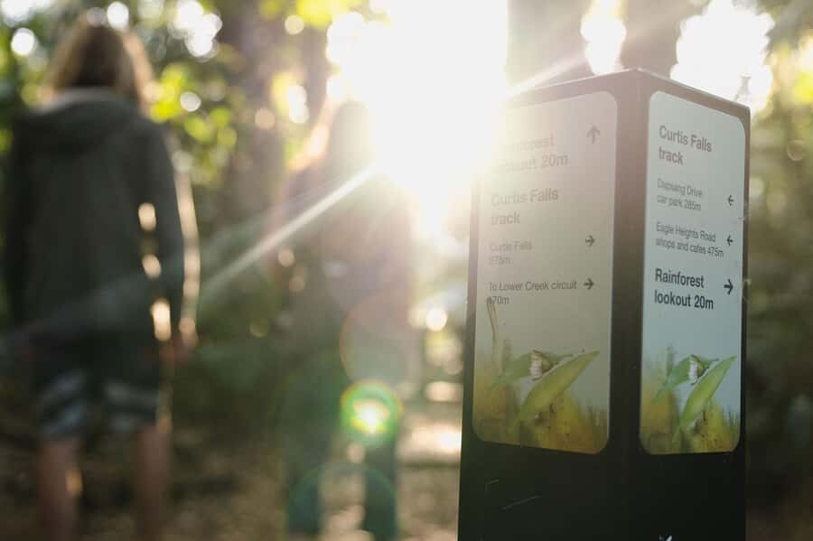 Brisbane: Rainforests, Waterfalls and Glow Worm Cave Tour - Who Should Book This Day Trip (and Who Should Skip It)