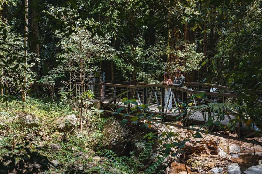 Brisbane: Rainforests, Waterfalls and Glow Worm Cave Tour - Starting at 222 Margaret Street and What Your 10 Hours Feel Like