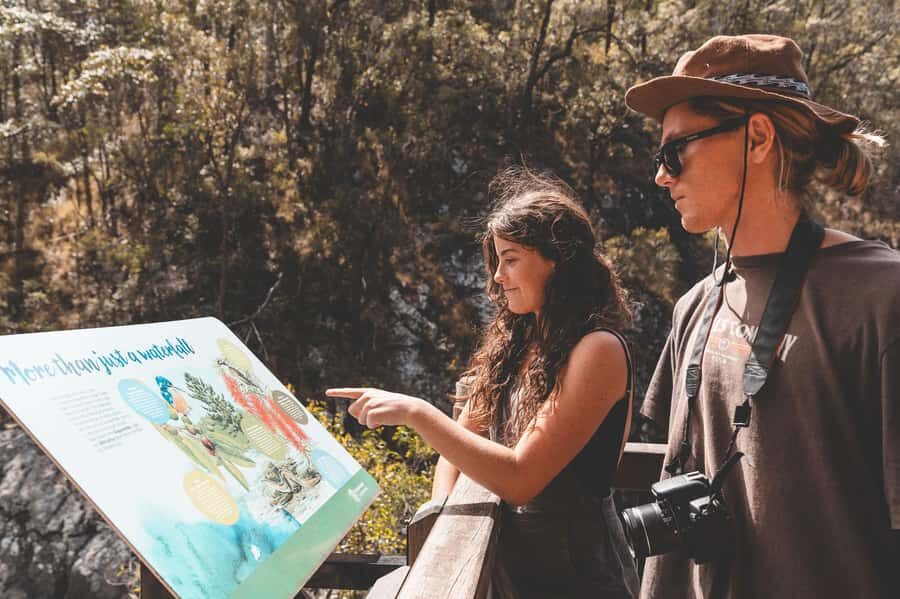 Brisbane: Rainforests, Waterfalls and Glow Worm Cave Tour - Price and Value: Is $133 for This Tour a Fair Deal?