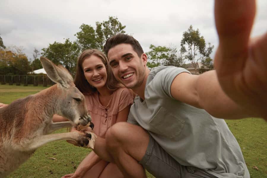 Brisbane River Cruise and Koala Sanctuary Visit - Brisbane South Bank to Lone Pine: the cruise part that actually feels fun