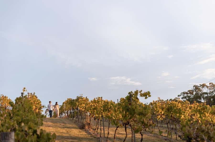 Brisbane: Sirromet Winery Tour with Tasting & 2-Course Lunch - Should you book this tour or skip it?