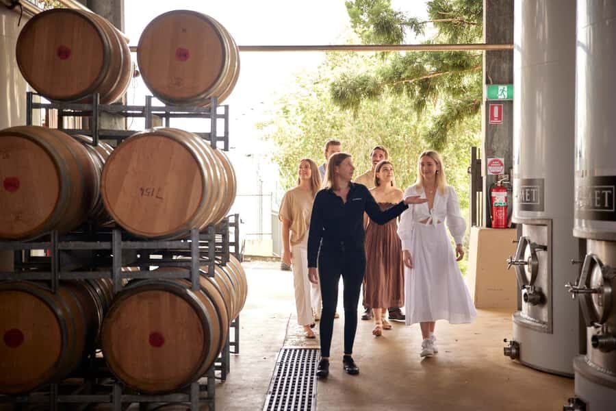Brisbane: Sirromet Winery Tour with Tasting & 2-Course Lunch - The guided winery walk: seeing production up close
