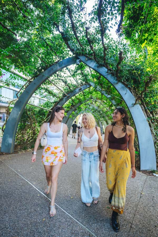 Brisbane: South Bank Combo Pass: 10:30am-2pm approx - The Wheel of Brisbane: Panoramic Views With Minimal Effort