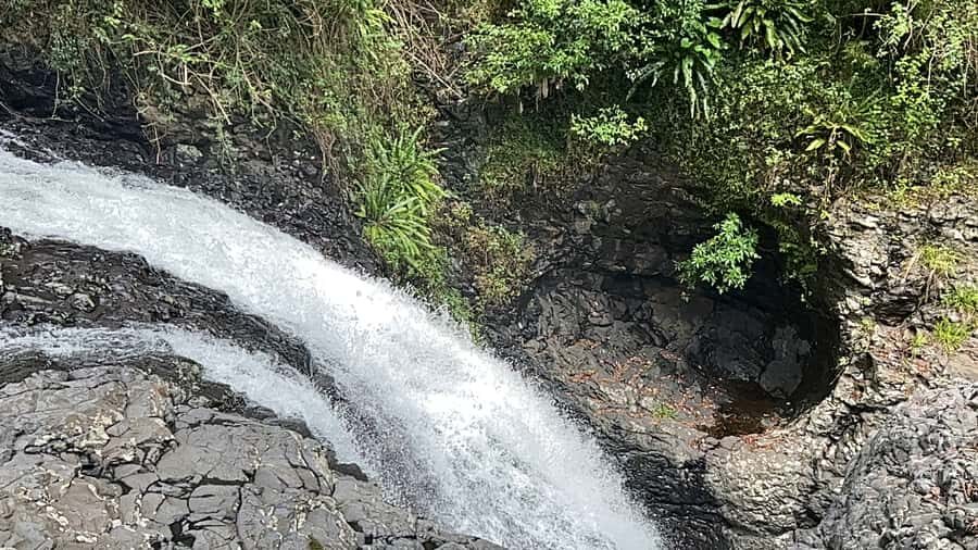 Brisbane: Springbrook and Mt Tamborine Glow Worm and Skywalk - Key highlights worth planning for