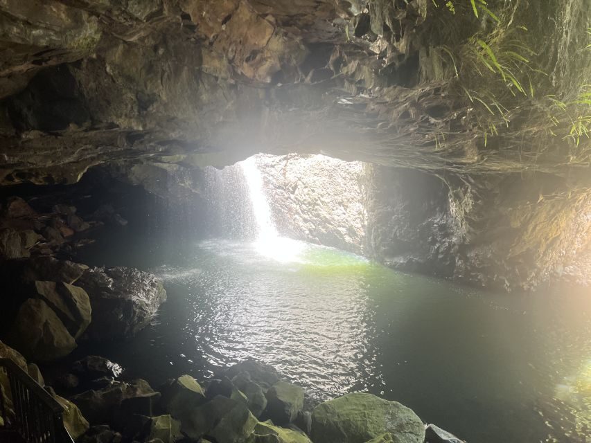 Brisbane: Springbrook and Mt Tamborine Glow Worm and Skywalk - Should you book this Brisbane to Springbrook and Tamborine day tour?