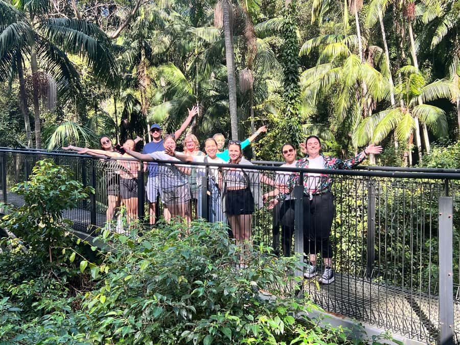 Brisbane: Springbrook and Mt Tamborine Glow Worm and Skywalk - Subway lunch and Gallery Walk tastings at Tamborine