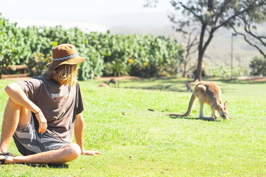 Brisbane: Stradbroke Island Eco Tour - Small Group, Full Day - Key things I’d prioritize on this Stradbroke day