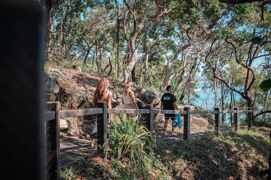 Brisbane: Sunshine Coast Hinterland & Noosa Scenic Tour - Brisbane to Blackall Range: the drive that makes the day