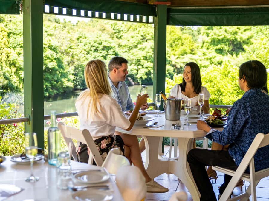 Brisbane: Tamborine Mountain Local Winery Tour with Lunch - Brisbane hotel pickup and the ride: modern, air-conditioned comfort